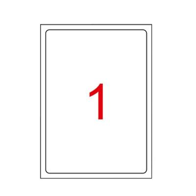 210 x 297 mm Lazer Etiketi