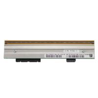 Zebra ZM600 Termal Kafa 203 Dpi