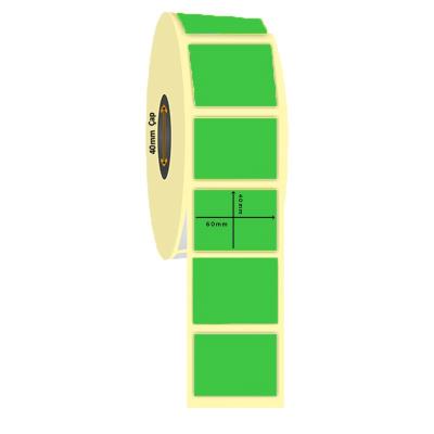 60mm x 40mm Kuşe Yeşil Renk İlaç Etiketi